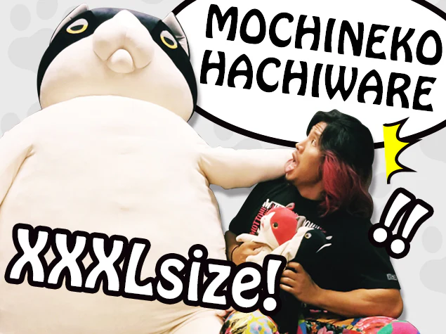 もちねこ ハチワレ(XXXL) - Image 10